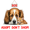 Adotta Rescue Animals Shelter Dog Cat