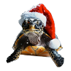 Tortue