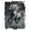 Appaloosa