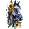 Appaloosa