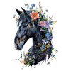 Frison