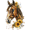 Clydesdale
