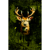 hirsch2