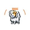 Coffee and Rough-haired Istrian Hound