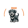 Café et Irish Wolfhound
