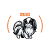Coffee and Japan Chin