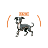 Café et lévrier italien