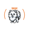 Café et Spitz japonais