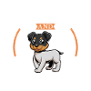 Café et terrier japonais