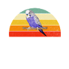 Budgie Gift