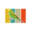 Budgie Gift