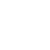 Lion Face