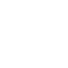 Lion Face