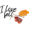 I love fall