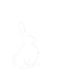rabit