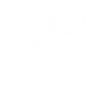 turtle2