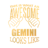 Gemini