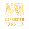 Capricorne