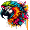 Parrot