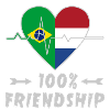 Brazil and Netherlands 100% friendship