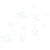Maple Leaves