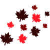 Maple Leaves