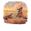 Cheetah Geparde Gepard