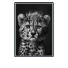 Guépard Geparde Gepard