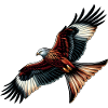 Rotmilan Greifvogel Milvus Milvus