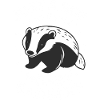 Badger Honey Badger Animal
