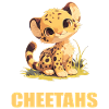 Cheetah Geparde Gepard