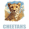 Cheetah Geparde Gepard