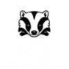 Badger Honey Badger Animal