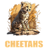 Cheetah Geparde Gepard