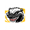 Badger Honey Badger Animal