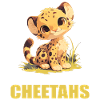 Cheetah Geparde Gepard
