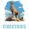 Guépard Geparde Gepard