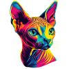 Sphynx Cat Sphynx Cat Gatto canadese Simpatico Sfinge