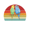 Budgie Gift