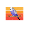 Budgie Gift