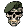 Military skull