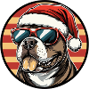 Pit Dog Terrier Noël Noël