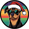 Pinscher chien Noël cool