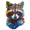 Raccoon