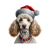 Christmas poodle dog