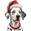 Christmas dalmatian dog