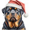 Christmas rottweiler
