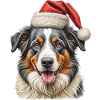 Christmas Border Collie dog