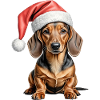 Dachshund christmas dog