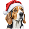 Christmas beagle dog